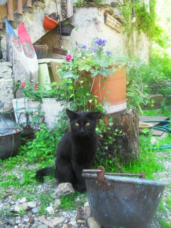 B&B Il Gatto Nero Castelveccana Exterior photo