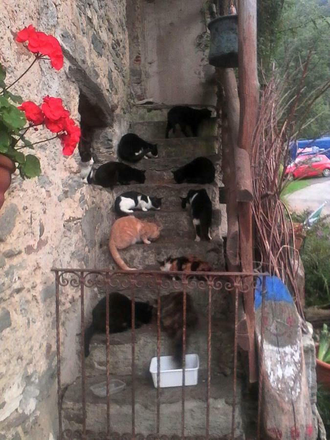 B&B Il Gatto Nero Castelveccana Exterior photo